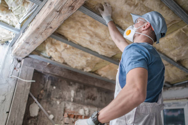 Professional Insulation Contractor in Rock Hill, MO