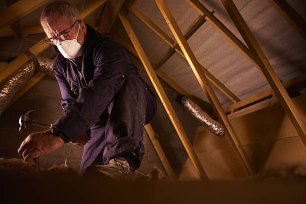 Best DIY Insulation Kits and Guidance in Rock Hill, MO