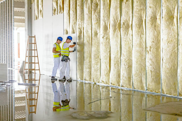 Best Specialized Insulation Services in Rock Hill, MO